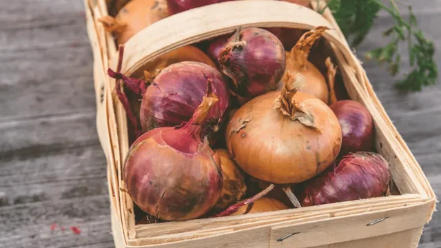 man-allegedly-gets-blocked-by-big-basket-for-complaining-about-receiving-less-than-ordered-onions-company-replies